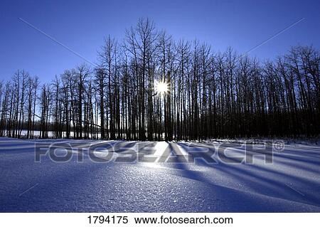 Winter Scene View Large Photo Image Stock Photography - Winter Scene. Fotosearch