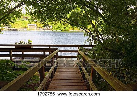 Wooden bridge to water View Large Photo Image Stock Photograph - Wooden bridge to water. Fotosearch
