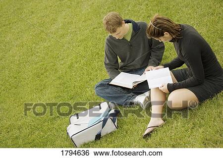 Young couple working on homework View Large Photo Image Stock Photograph - Young couple working on homework. Fotosearch