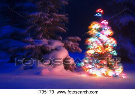 Stock Photo - Christmas Tree glowing in winter forest. Fotosearch