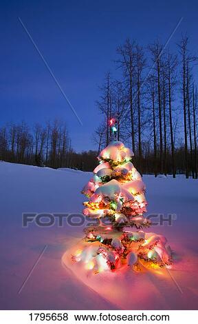Stock Photo - Christmas tree. Fotosearch