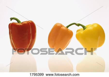 Colorful peppers View Large Photo Image Stock Photo - Colorful peppers. Fotosearch