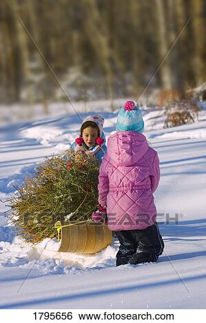 Stock Photograph - Girls cooperating. Fotosearch