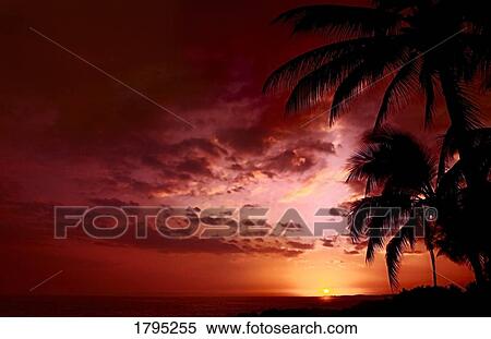 Hawaiian sunset View Large Photo Image Stock Photography - Hawaiian sunset. Fotosearch