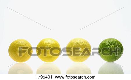 Stock Image - Lemons and lime. Fotosearch