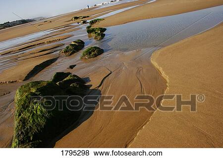 Stock Photo - Oregon Coast. Fotosearch