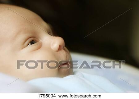 Profile of baby View Large Photo Image Picture - Profile of baby. Fotosearch