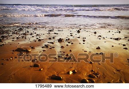 Stock Photo - Rocky beach. Fotosearch