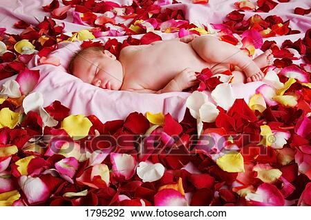 Stock Image - Sleeping baby. Fotosearch