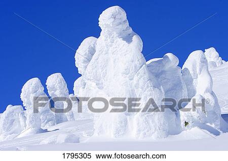 Stock Photography - Snow covered trees. Fotosearch