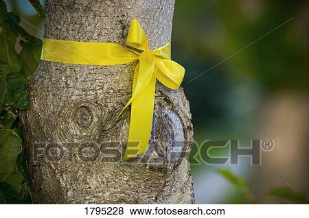 Yellow ribbon for soldiers away at war View Large Photo Image Stock Photo - Yellow ribbon for soldiers away at war. Fotosearch