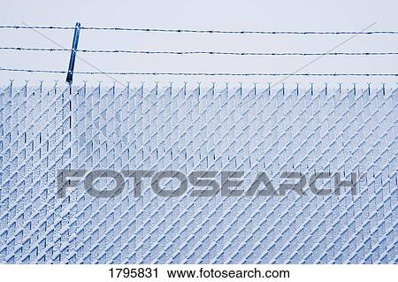 Chain link fence and barbed wire laden with snow View Large Photo Image Stock Image - Chain link fence and barbed wire laden with snow. Fotosearch