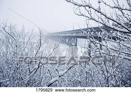 Laden branches framing view of bridge in winter View Large Photo Image Stock Photo - Laden branches framing view of bridge in winter. Fotosearch