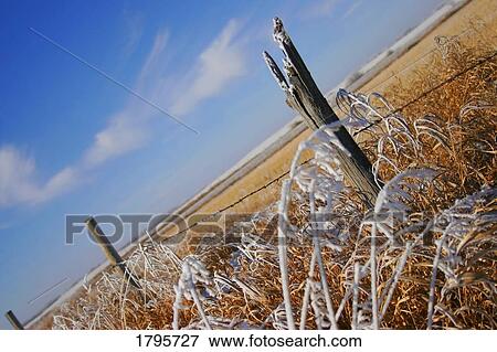 Rural winter scenery View Large Photo Image Stock Photo - Rural winter scenery. Fotosearch