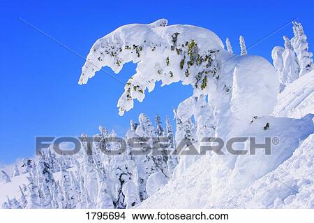 Picture - Winter landscape. Fotosearch