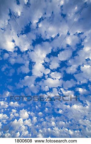 Blue sky with scattered clouds View Large Photo Image Stock Photo - Blue sky with scattered clouds . Fotosearch