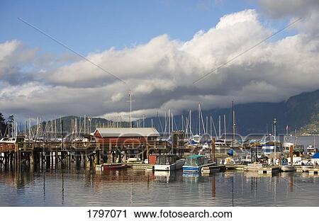 Boats docked at a harbor View Large Photo Image Stock Image - Boats docked at a harbor. Fotosearch