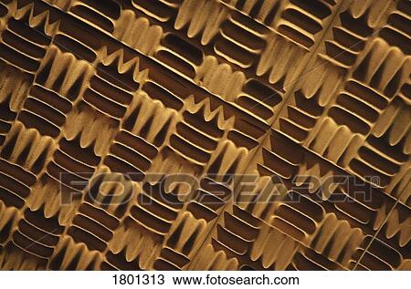 Stock Image - Brown and Tan Background and Texture. Fotosearch
