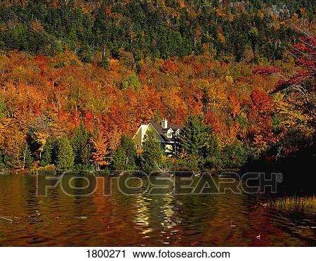 Cabin by the water View Large Photo Image Stock Image - Cabin by the water. Fotosearch