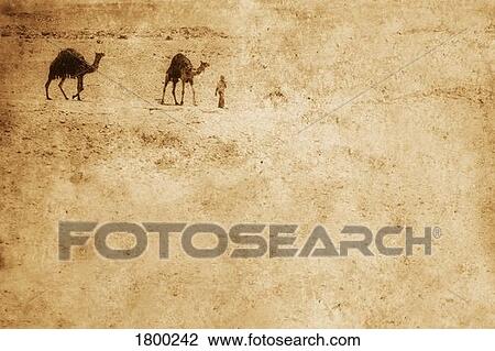 Stock Image - Camels in the desert. Fotosearch