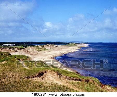 Cavendish beach View Large Photo Image Stock Image - Cavendish beach . Fotosearch