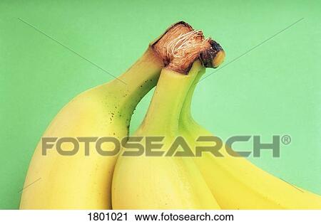 Stock Image - Close up of banana stems. Fotosearch