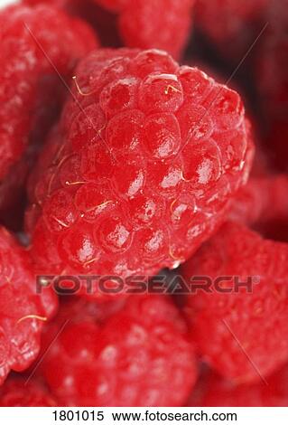 Close up of raspberries View Large Photo Image Stock Photography - Close up of raspberries. Fotosearch