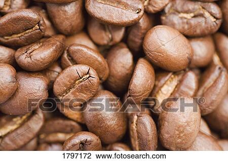 Coffee beans View Large Photo Image Stock Image - Coffee beans. Fotosearch