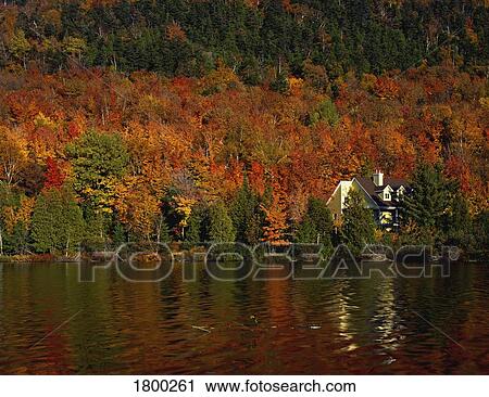 Stock Image - Cottage in the forest. Fotosearch