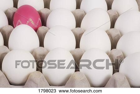Easter egg in an egg carton View Large Photo Image Stock Image - Easter egg in an egg carton. Fotosearch