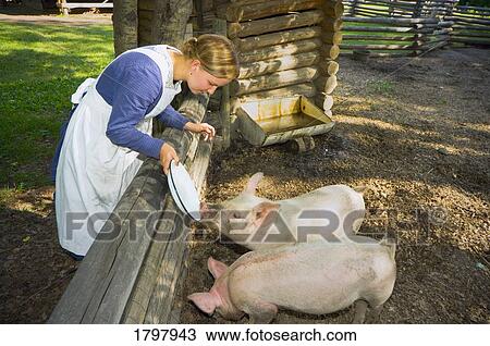 Farm in Fort Edmonton, Alberta View Large Photo Image Stock Image - Farm in Fort Edmonton, Alberta. Fotosearch