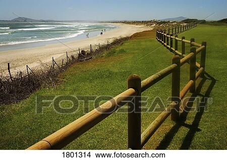 Picture - Fence along the beach. Fotosearch