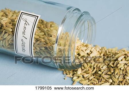 Stock Photography - Fennel seeds spilling from a jar. Fotosearch