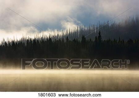 Stock Image - Foggy mountain lake at sunrise . Fotosearch