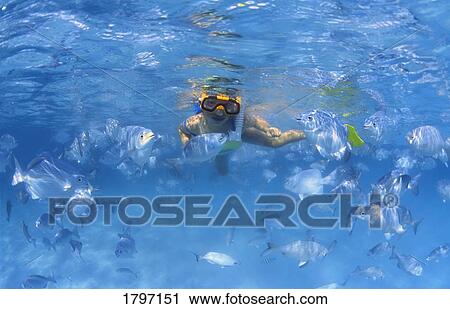 Stock Image - Girl snorkeling in the Caribbean. Fotosearch