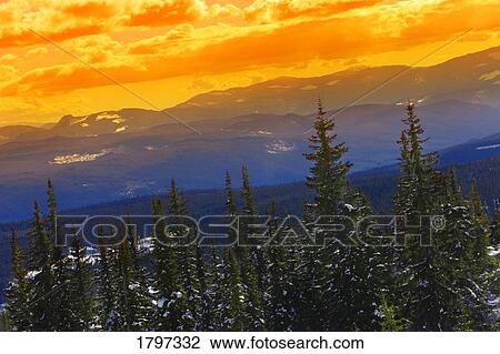 Stock Image - Golden sky above wilderness. Fotosearch