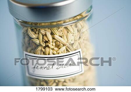 Jar containing Fennel seeds View Large Photo Image Stock Image - Jar containing Fennel seeds. Fotosearch