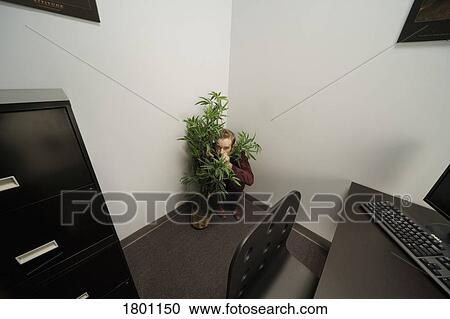 Stock Image - Man hiding behind plant in office. Fotosearch