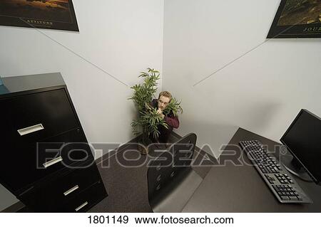 Man hiding behind plant in the office View Large Photo Image Stock Photo - Man hiding behind plant in the office. Fotosearch