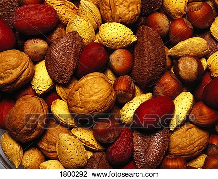 Stock Image - Nuts . Fotosearch