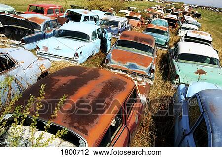 Old rusted cars View Large Photo Image Stock Image - Old rusted cars. Fotosearch