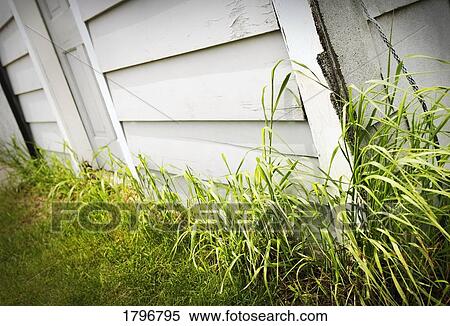 Overgrown grass View Large Photo Image Stock Photography - Overgrown grass. Fotosearch