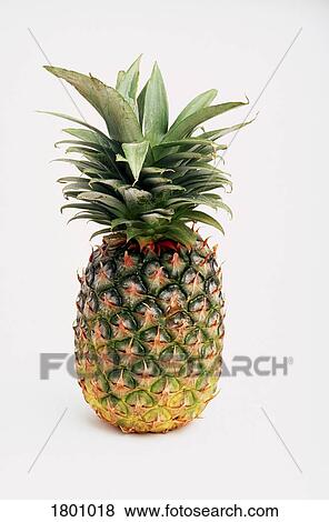 Pineapple View Large Photo Image Stock Photo - Pineapple. Fotosearch
