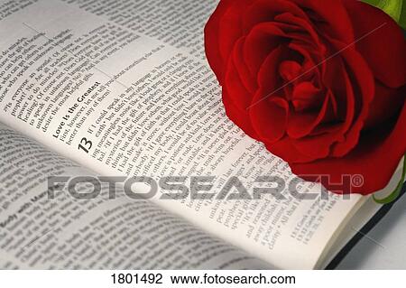 Stock Image - Red rose on open Bible. Fotosearch