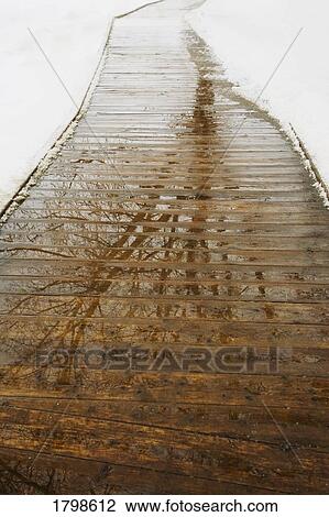 Stock Image - Reflection of a tree on a wet boardwalk. Fotosearch