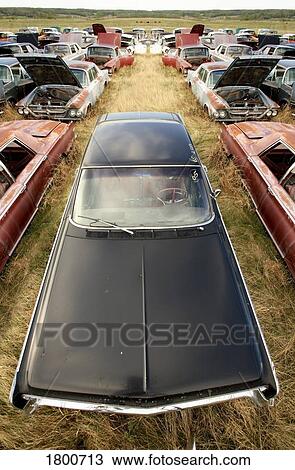 Showy car in field of junk cars View Large Photo Image Stock Image - Showy car in field of junk cars. Fotosearch