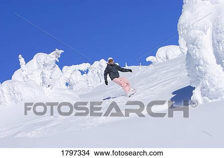 Picture - Snowboarder carving down slope. Fotosearch