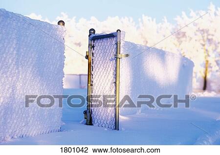 Snowy fence with gate open View Large Photo Image Stock Image - Snowy fence with gate open. Fotosearch