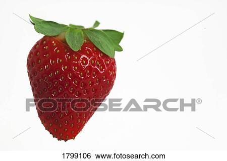 Strawberry View Large Photo Image Stock Photograph - Strawberry. Fotosearch