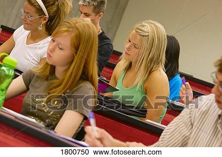 Stock Image - Students working in classroom. Fotosearch